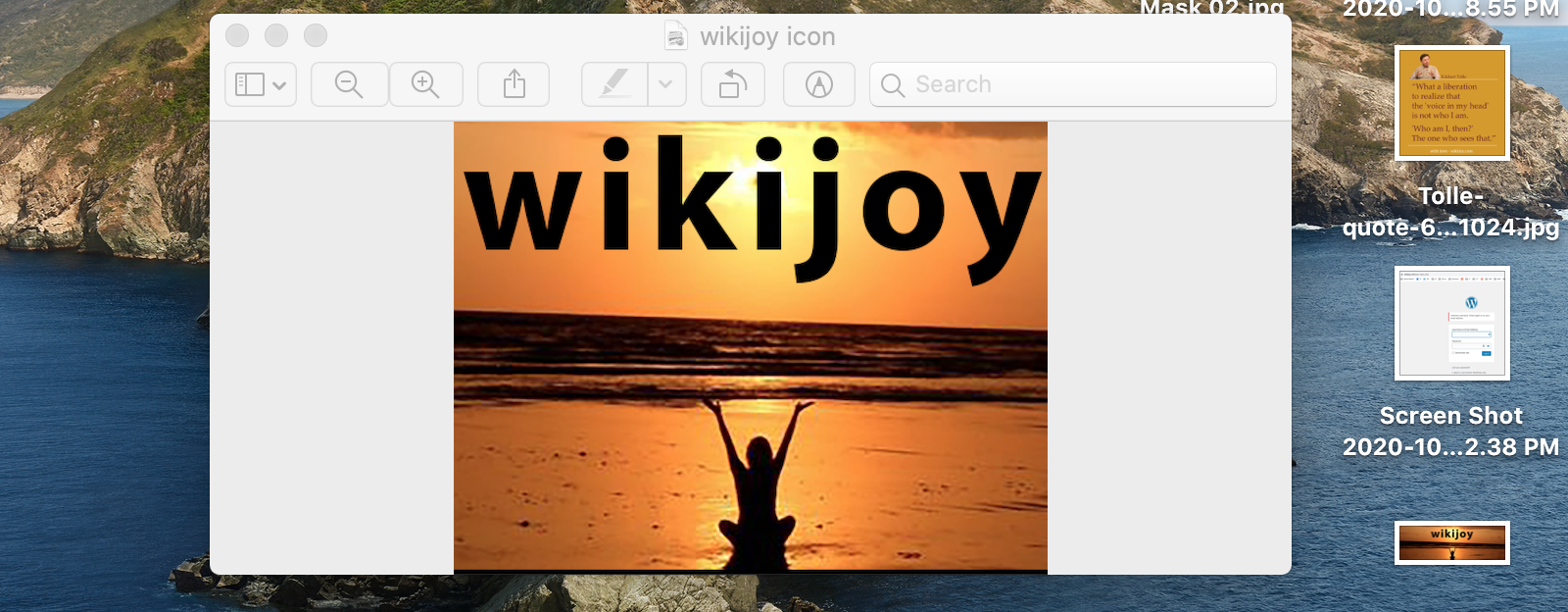 Wikijoy